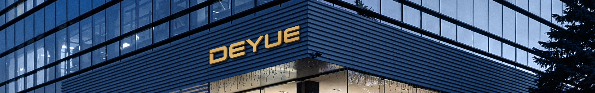 COMPANY INTRODUCTION